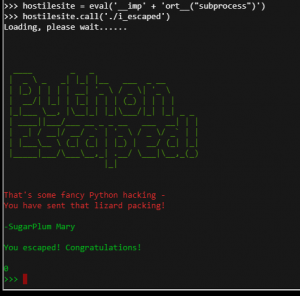 81_PythonEscape3